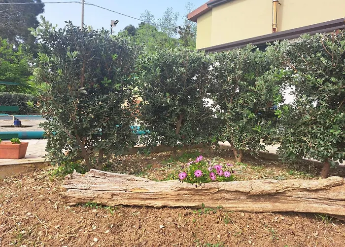 Hébergement de vacances D'anna