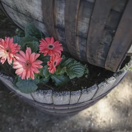 Casa de Férias D'anna *