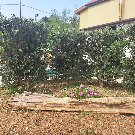 Hébergement de vacances D'anna