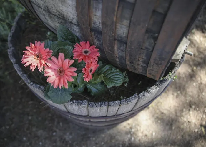 Casa vacanze D'anna *